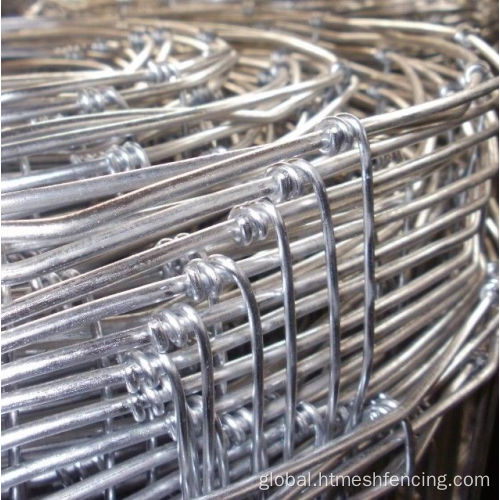 High Tensile Galvanized Field Fence 2.5m Boundary fencing Tight Lock Mesh Deer Fence Manufactory